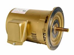 Pentair C Series 5HP Commercial Pool Pump Motor Package 3 Phase 